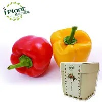 在飛比找PChome24h購物優惠-【iPlant】積木小農場 - 彩色甜椒
