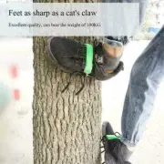 Tree Climbing Tool Pole Climbing Spikes Hunting Observation K Tree Climbing