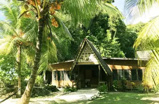 帕勞納麗自然島度假村酒店 