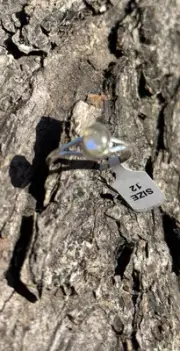 Genuine Labradorite Solid Sterling Silver 925 Ring Size 12