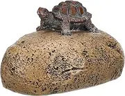 Box Discreet Turtle Key Holder Realistic Stone Design for Outdoor Garden Decor Durable Rock Hide a Key Storage Case