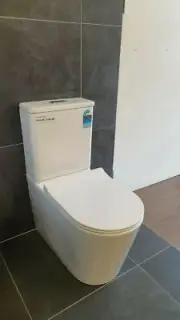 Rimless Toilet Suite Back to Wall S&P Trap Soft Closing Seat