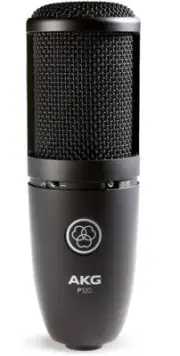 AKG PERCEPTION P-120 STUDIO CONDENSER MICROPHONE MIC P120 W/ STAND ADAPTER Wired