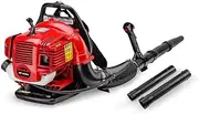 MTM Petrol Backpack Leaf Blower 500ml Fuel Tank 30cc 2-Stroke Commercial Blower and Extension Kit, BPX635