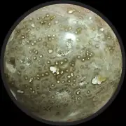 Orbicular Ocean Jasper Sphere With Stand 340g