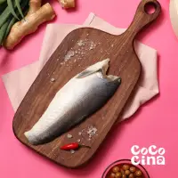 在飛比找momo購物網優惠-【Cococina】午仔魚腹肉菲力100g*10片(100g