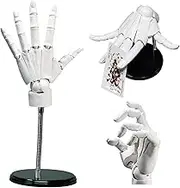 Hand Model, Articulated Hand 1:1 8x14 Inch Left Model with Moveable Joint & Base DIY Friendly PVC for Drawing, Painting, Sketching, White
