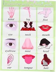 HAPINARY Educational Learning Toy Wall Chart for Baby and Preschoolers English Words Colorful Teaching Chart Boys Girls Present