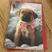 Hallmark Valentine Adorable Puppy With Bowtie, You Are One Of A Kind Wonderful