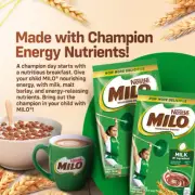 Nestl’e Milo Chocolate Powder Energy Drink-300g Box
