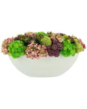 Creative Displays Multicolor Sedum And Hydrangea Floral Display