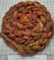 Superwash Wool Sliver Roving Spinning Handpainted USA NWT Ginger Tabby
