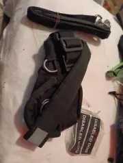 Dean And Tyler Xs With Leash Ans Disabled Dog Patches
