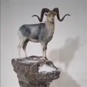 Pamir Sheep Scene Model Ovis polii Animal Statue Collector GK Kit Decor Gift Toy