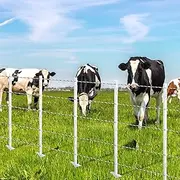 20pcs Electric Fence Posts Tread Step in Wire Poly Tap Garden Farm Livestock Cattle Sheep Cow Insulators Poles White