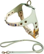 IUOUTG Easy Walk No Pull Dog Harness with Leash Set Leather Material with Quick Release Buckle for Puppy Cats