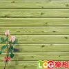LOG 樂格 3D立體木紋防撞美飾牆貼 -秋香綠 X5入 (防撞壁貼/防撞墊)