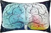 Satin Pillowcase for Hair and Skin Silk Pillow Cases Queen Size Satin Pillow Cover 20x30 Inches Geometry Brain Image with Science Pillowcases with Zipper Cooling Pillow Cases Gifts for Women Men