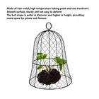 10 Packs Black Garden Chicken Wire Cloche Thickened Construction Plant Protector