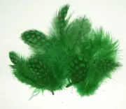 Spotted Guinea Hen Feathers 1-4" Body Plumage KELLY GREEN dyed 1/4 oz bag