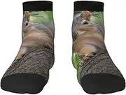 [EdWal] Squirrel in The Tree print Men's Moisture Control Crew Socks Socks For Men and Women Gifts For Golf, Hunting, Camping