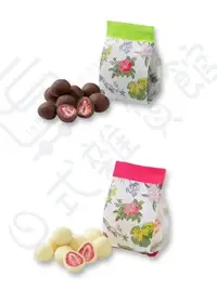 在飛比找Yahoo!奇摩拍賣優惠-＊日式雜貨館＊日本帶回 六花亭 草莓巧克力 草莓白巧克力 草