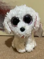 TY Beanie Boos PIPPIE THE WHITE POODLE DOG 6" Plush Stuffed Animal Toy New