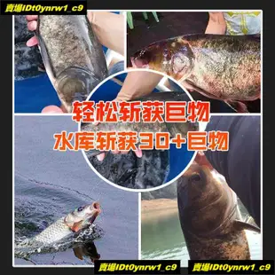 ☫鰱鳙釣線組套裝浮雕花白鰱魚胖頭魚彈簧線組大頭魚專用線組☫