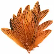 Under 6" Silver Pheasant Tail Feather x 10 pcs - Orange