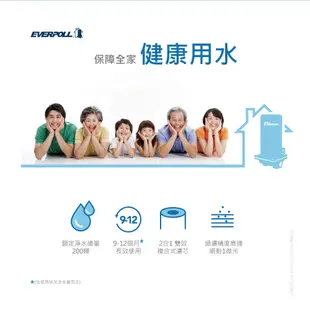 EVERPOLL AD-02濾心(AD02)適用全戶濾淨系統AD-2000 TK-250 (10折)