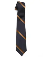 Snr Navy/Red/Gold Tie