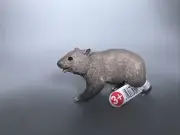 Schleich Wombat Animal Figure 14834 New With Tags