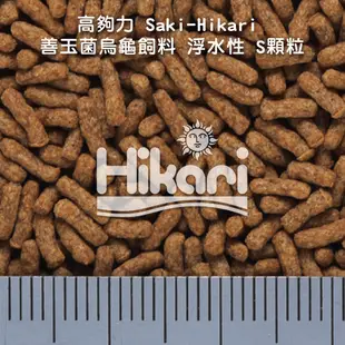 Hikari 高夠力 Saki-Hikari 善玉菌烏龜飼料 浮水性 澤龜 斑龜 巴西龜 甜甜圈龜