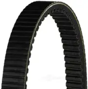Dayco HPX5007 Ultimax Snowmobile Belt