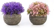 Artificial Plants in Pots for Home Decor Indoor, Small Faux Plants Potted Set of 2 Pink Purple, Small Fake Plants for Office, Desk, Bathroom, Mini Artificial Plants for Bedroom Living Room and Kitchen