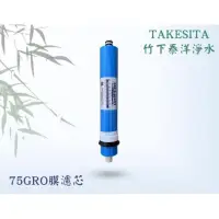 在飛比找蝦皮購物優惠-【竹下淨水】🇹🇼RO膜 第四道 濾心 濾芯💦75G 100G