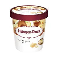 在飛比找家樂福線上購物網優惠-HaagenDazs哈根達斯 夏威夷果仁品脫杯473ml毫升