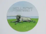 Beer Brewery STICKER ~ HELLBENT Brewing Co ~ Seattle, WASHINGTON ~ Labrador Dog