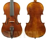 Raggetti RV7 Violin Only - 1/2