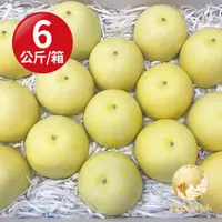 在飛比找PChome24h購物優惠-盛花園蔬果 嘉義頂級溫室美濃瓜6kg x1箱(約14-16粒