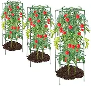 Tomato Trellis, Tomato Support Cages, 3 Piece Heavy-Duty Rack for Climbing Vegetables Cucumber Fruits Flower Peony Rose Gardening Lawn Outdoor Pots Patio Beds