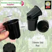 70mm Standard Plant Pot Black - FULL BOX (832 Pots) - Herbs, succulents, cactus