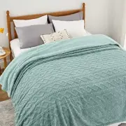 Sherpa Queen Size Blanket for Bed - Fuzzy Queen (90" x 90") 07 - Sage Green