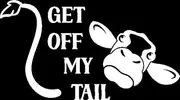 Get Off My Tail Cow Funny Car Bumper Sticker - Wall Decal - Cute - Window - Van - Caravan - Motorhome - Campervan (White)