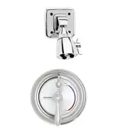 SLV-3420 Sentinel Mark II Diverter Trim and Vandal Resistant Shower Combinati...