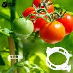 [VNMX] GARDEN SUPPLIES 可重複使用的植物夾 50/100 件植物支撐夾堅固的可重複使用的番茄葡萄藤