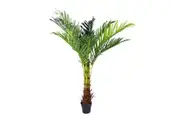 180cm Phoenix Palm - Artificial Plant, Home Decor Flora