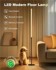 Minimalist Corner Floor Modern Lamp LED With Remote Control Linear Standing