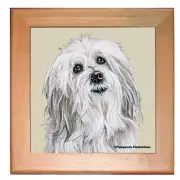 Coton De Tulear Dog Kitchen Ceramic Trivet Framed in Pine 8" x 8"