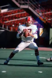 Bob Berry Of The Atlanta Falcons Drops Back To Pass 1971 NFL OLD PHOTO 8